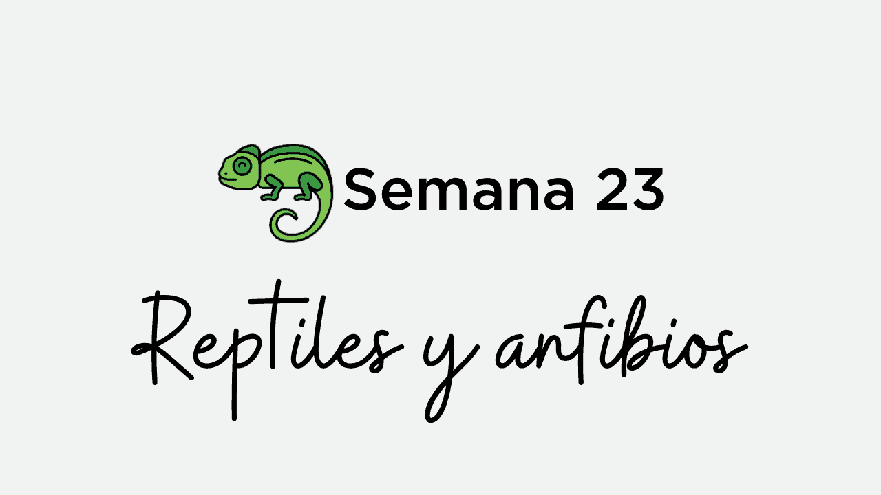 Semanas - Arco en las nubes (23)